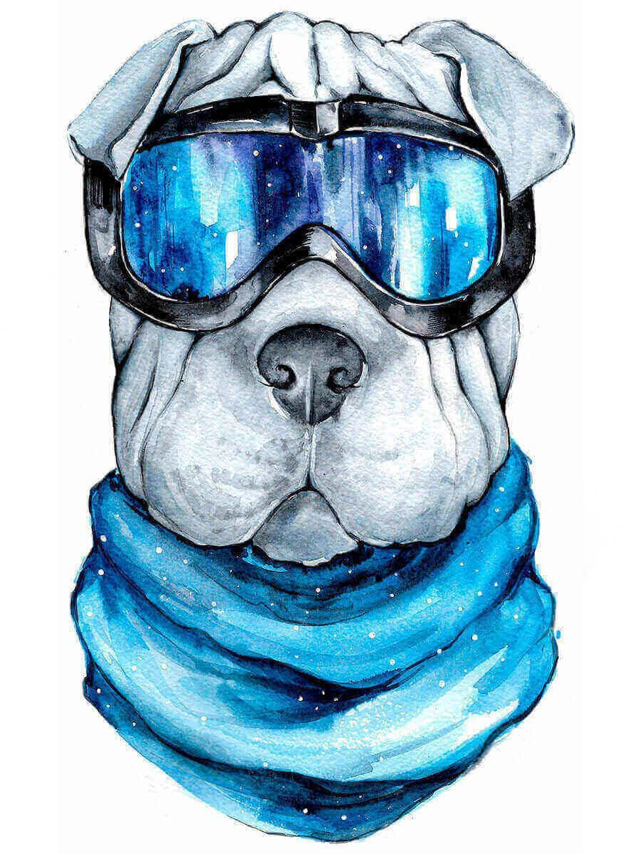 Алмазная мозаика Шарпей 20х30 см