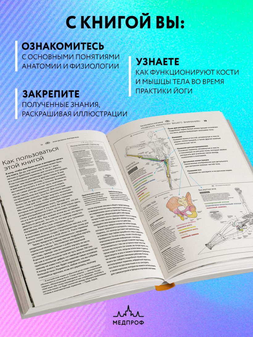 Анатомия йоги: атлас-раскраска. Визуальный гид по телу