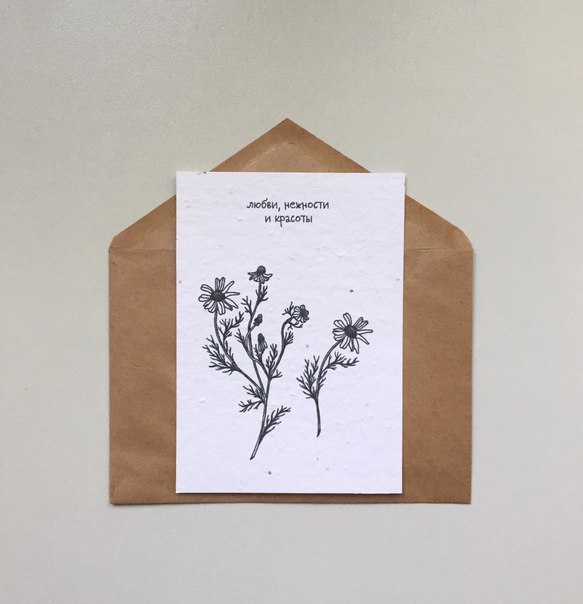 Растущая открытка Ромашка