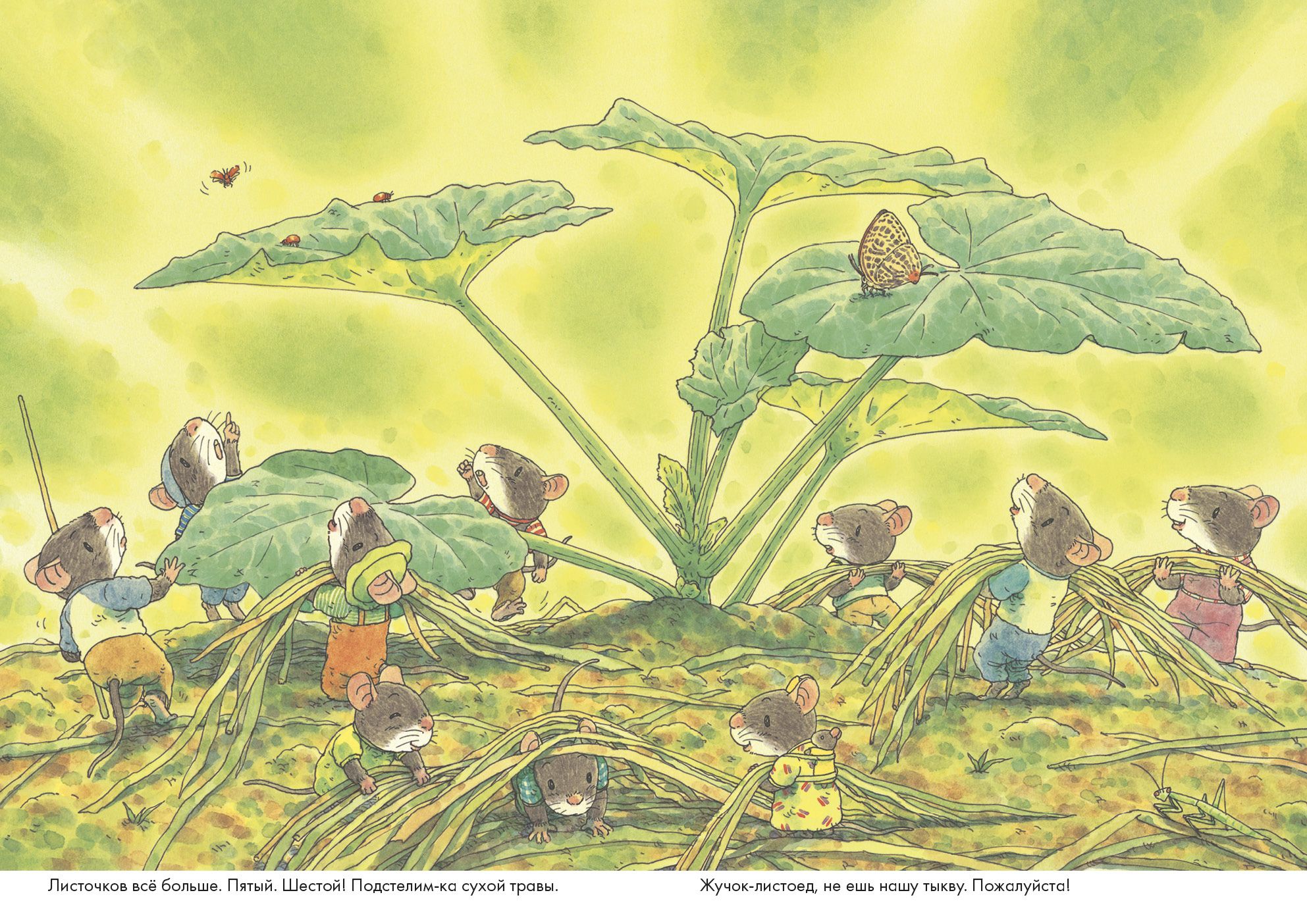 14 лесных мышей. Тыква