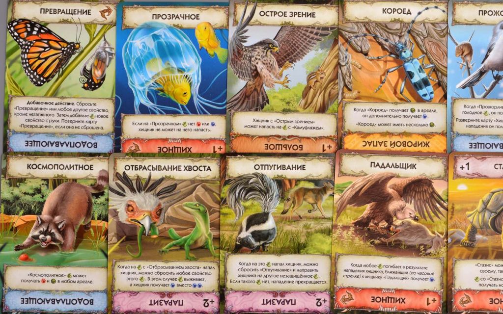 Настольная игра Эволюция. Новый мир