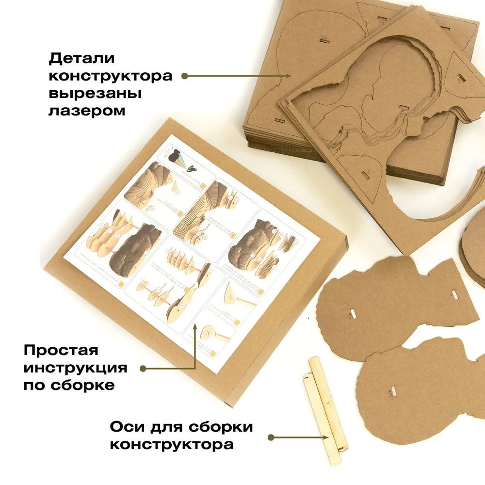 3D конструктор Соник
