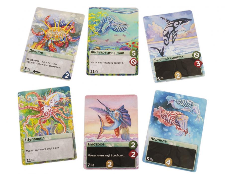 Настольная игра Эволюция. Естественный отбор: Океаны