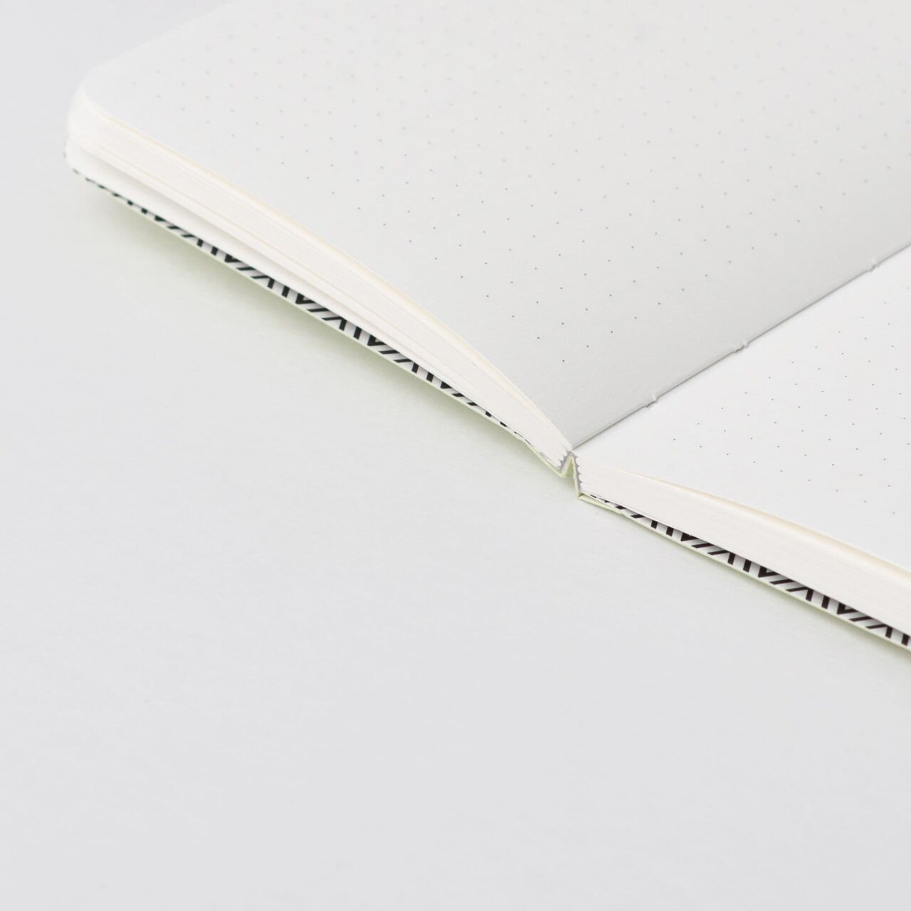 Блокнот А6 Dinosaurs (в точку)