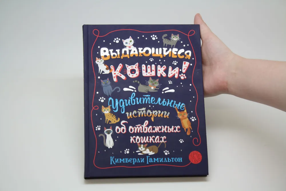 Выдающиеся кошки