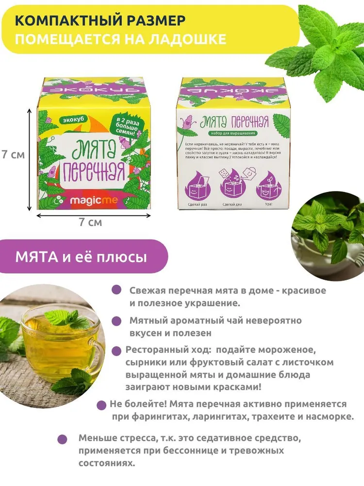 Экокуб Magicme Мята
