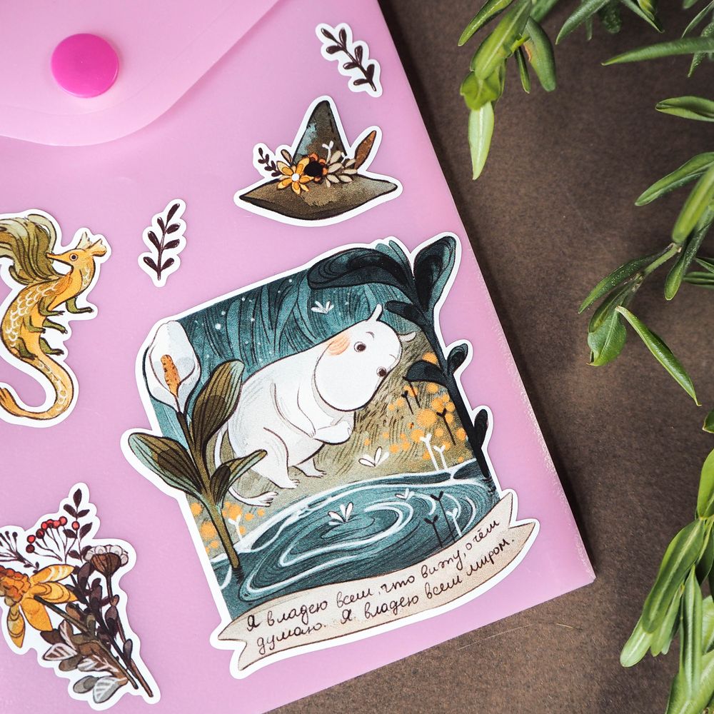 Пак Moomintroll 21