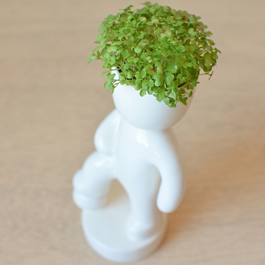 Экочеловек Футболист