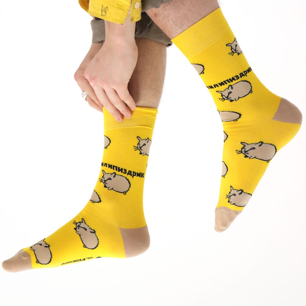 Носки Кошка-картошка (42-46)