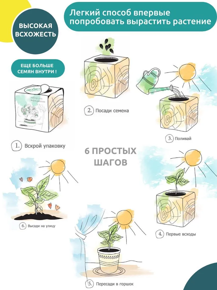 Экокуб Magicme Ель Голубая