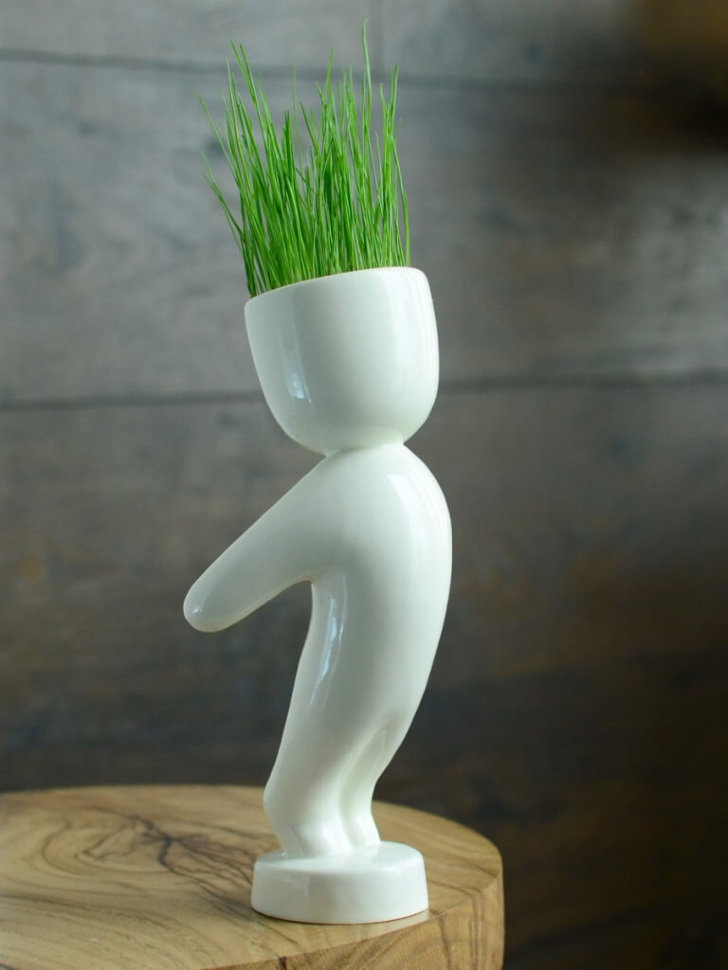 Экочеловек Первый