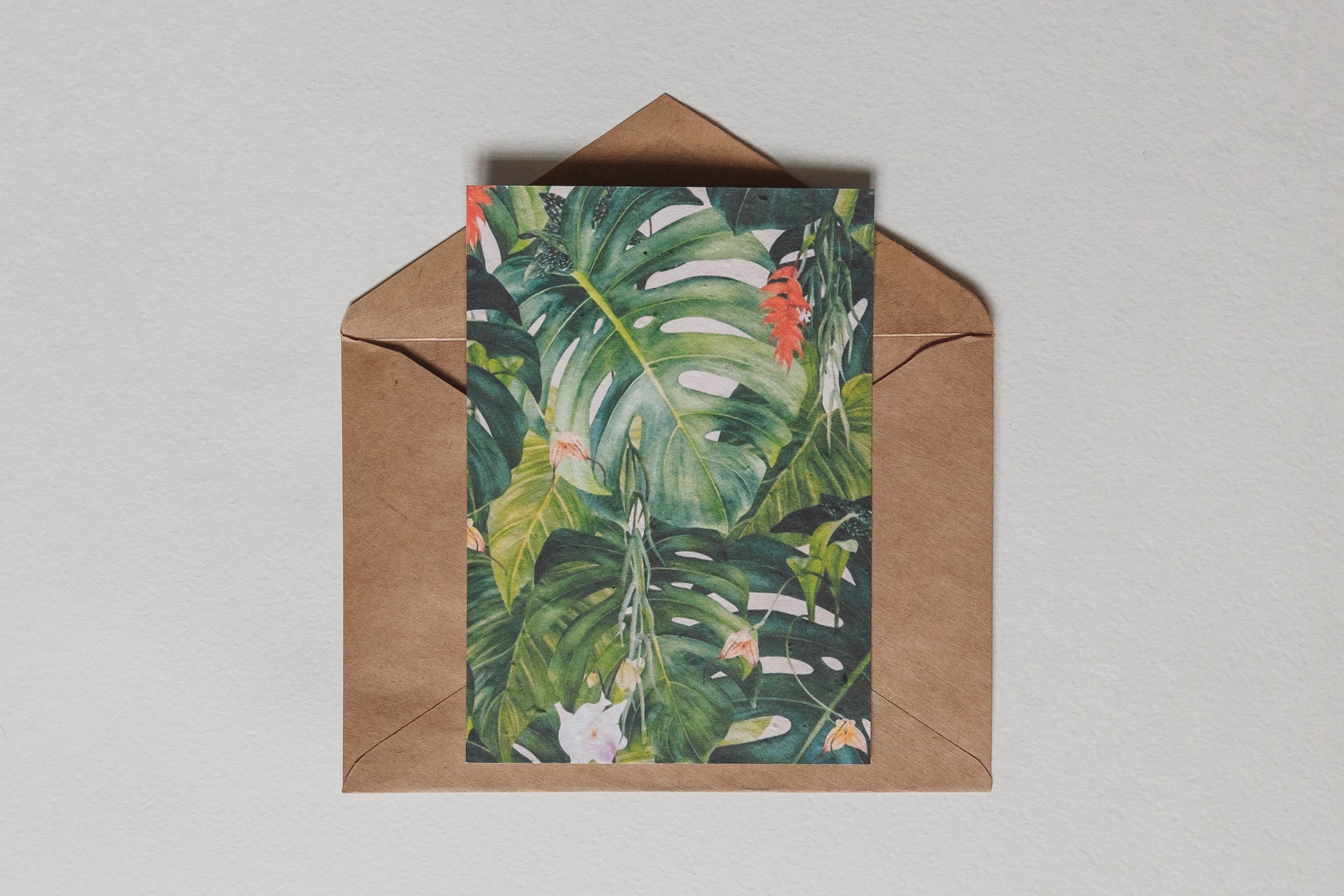 Растущая открытка Jungle