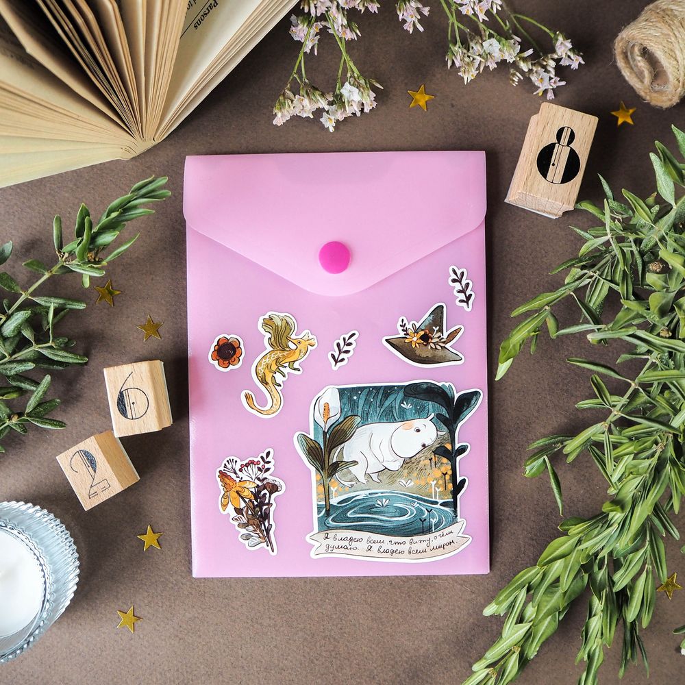 Пак Moomintroll 21