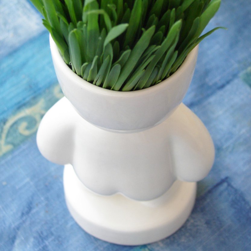 Экочеловек Коротыш