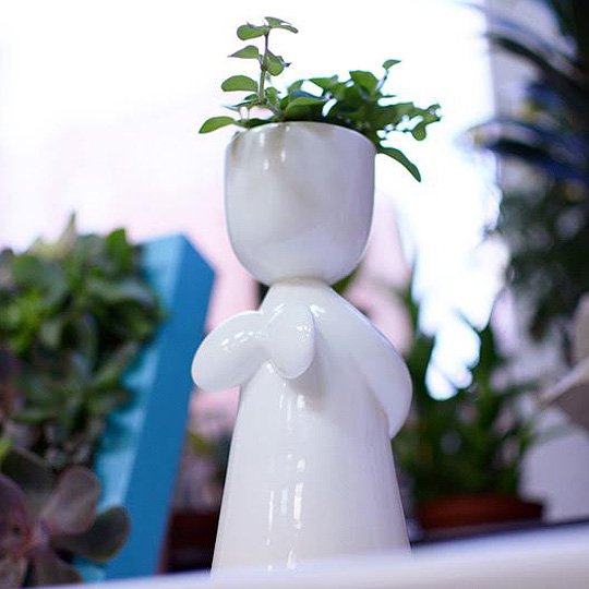 Экочеловек Ангелок