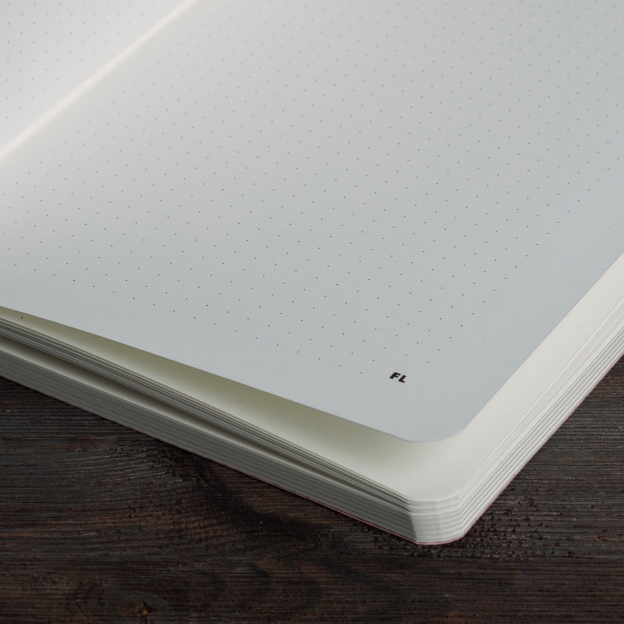 Блокнот А5 Dinosaurs (в точку)