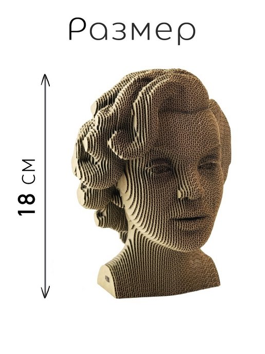 3D конструктор Монро