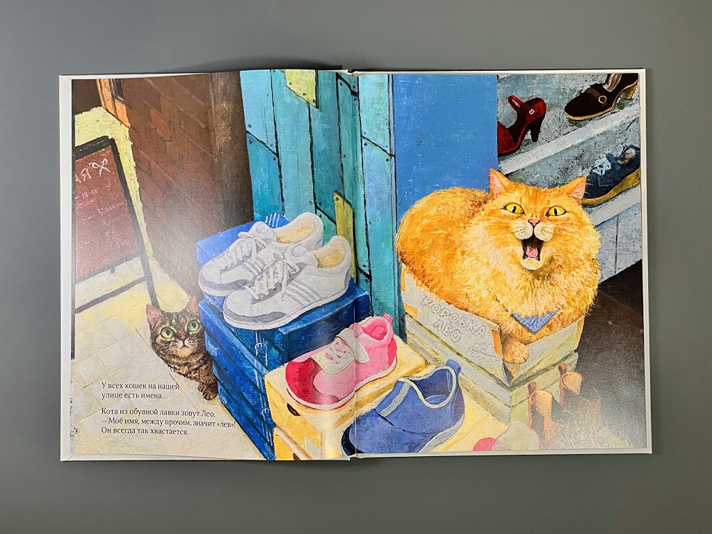 Кот без имени