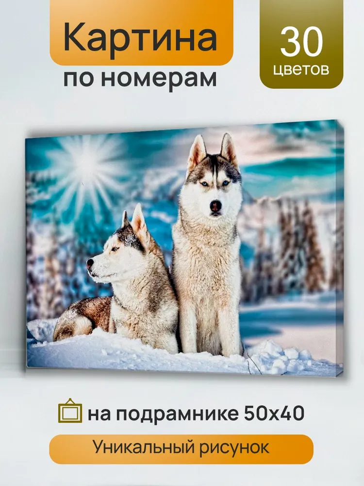 Картина по номерам Зимние хаски 40х50