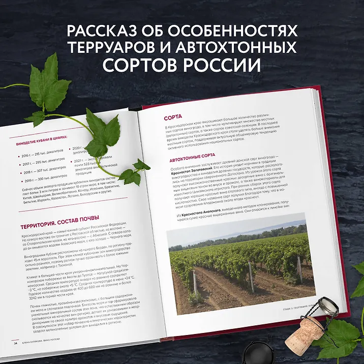Вино России. История, география, выбор