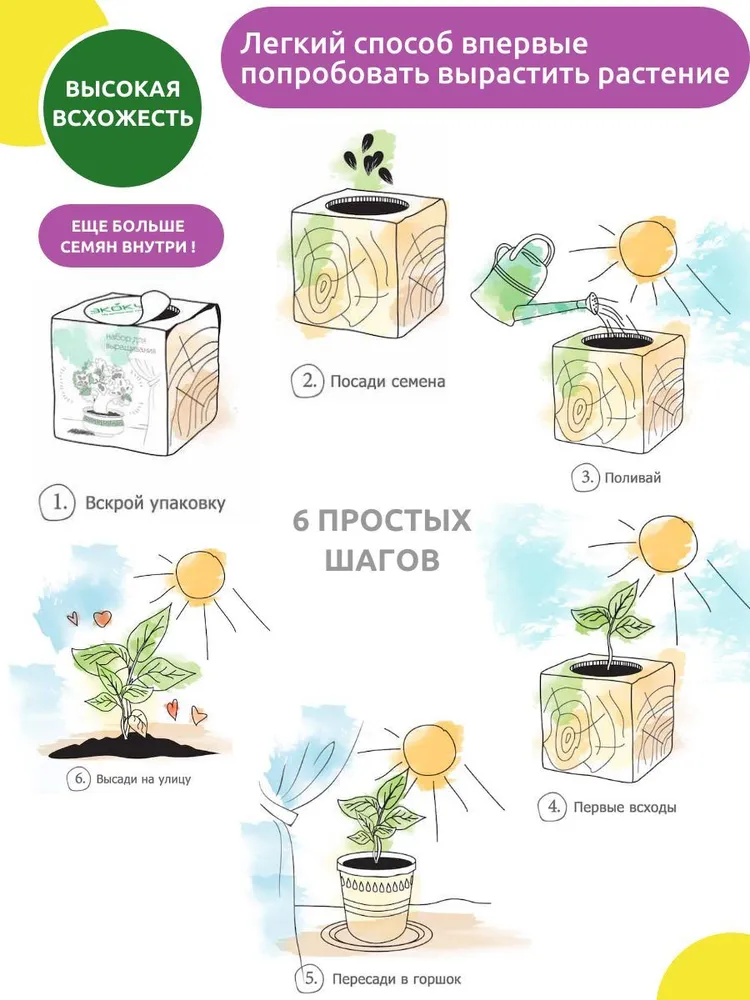 Экокуб Magicme Мята