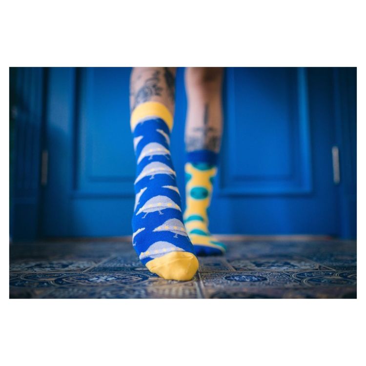 Носки Sammy Icon Solaris new 36-40